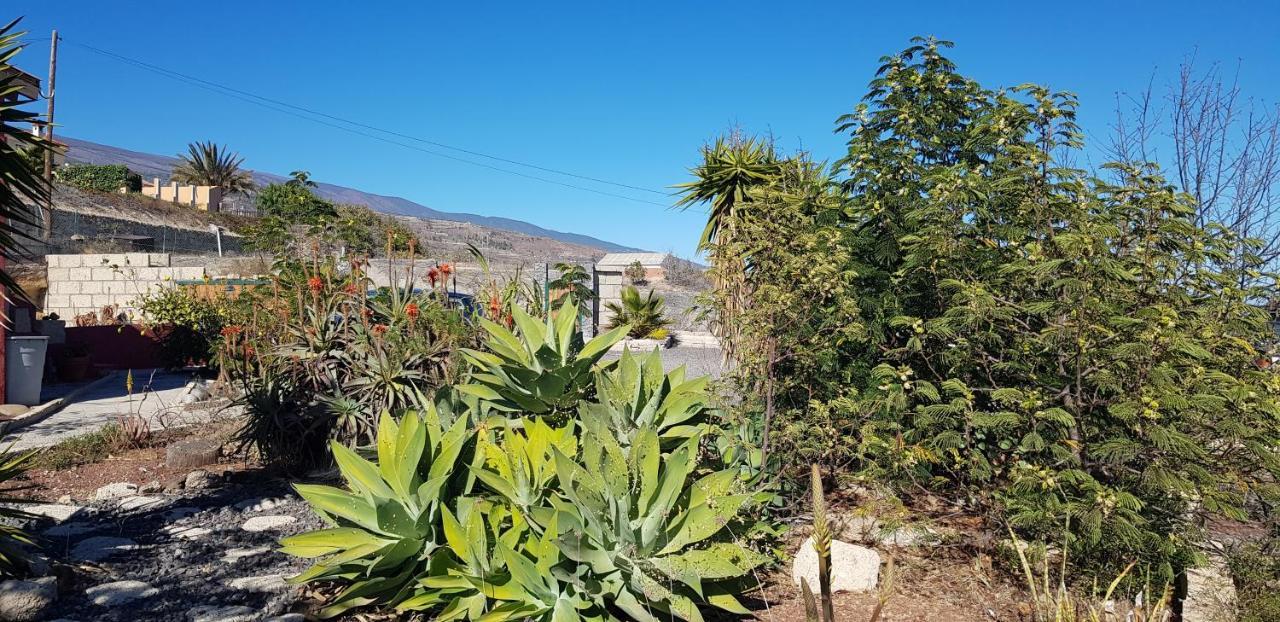 Alojamiento único y tranquilo Arico con fibra optica Exterior foto
